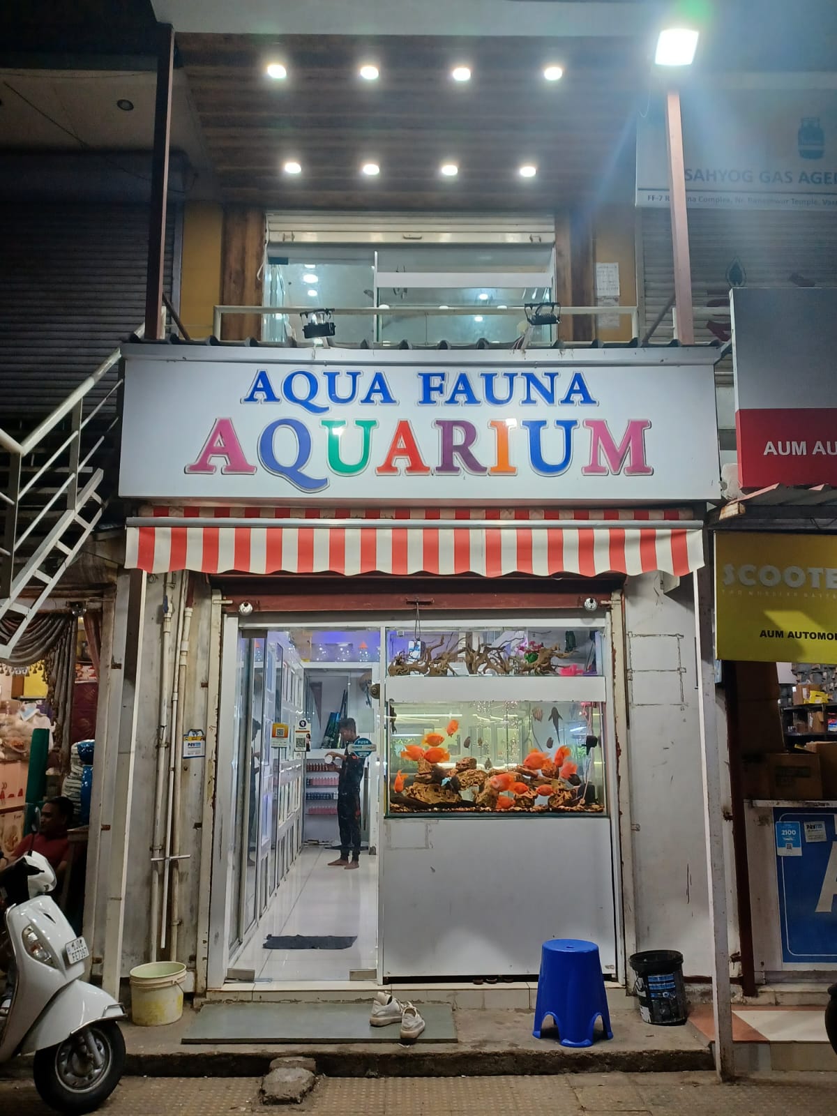 Aquarium 2 